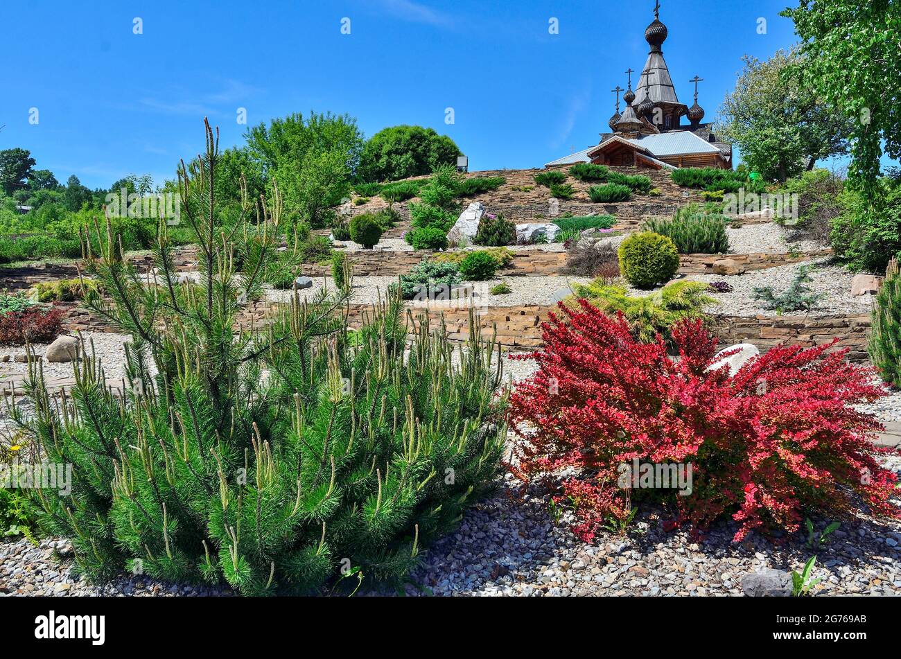 Ornamental stony garden with dwarf conifers on slope of hill - front yard of orthodox Temple. Cultivar Thunbergs barberry (Berberis thunbergii 'Red Ro Stock Photo