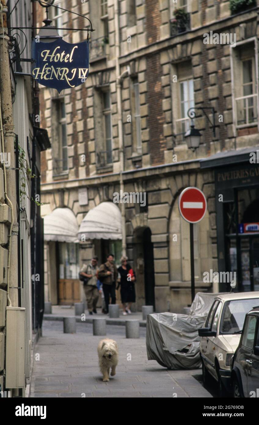 Tiere in Paris: Ein Hund läuft allein durch die Straßen der Stadt. - The animals of Paris: A dog takes a walk through the streets of Paris all by his own. Stock Photo