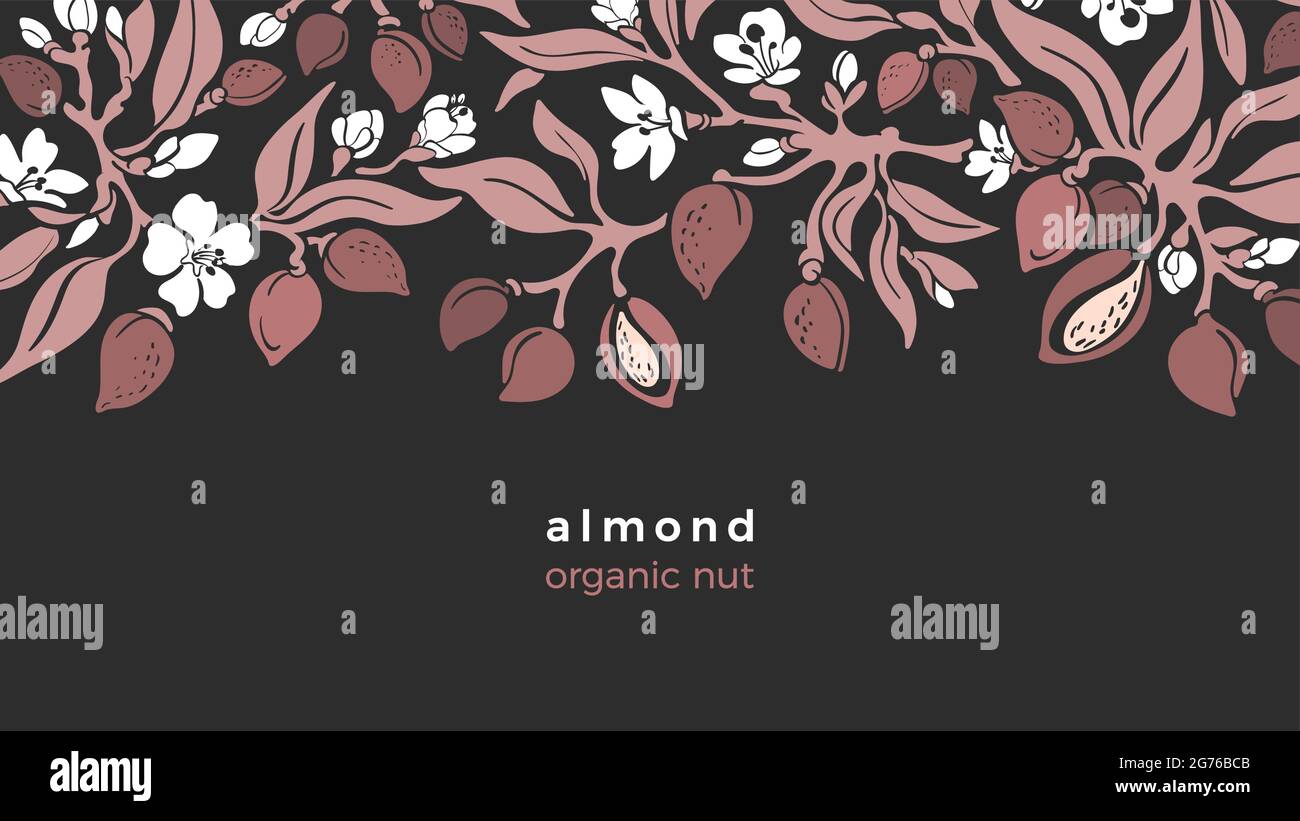 Almond border. Vector pattern of tree, branch, fruit, organic nut, leaves, flower in bloom. Art floral design, vinrage illustration on black backgroun Stock Vector
