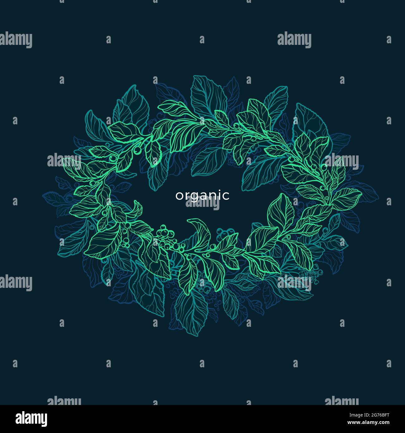 Nature circle frame. Vector green foliage on black background. Night ...