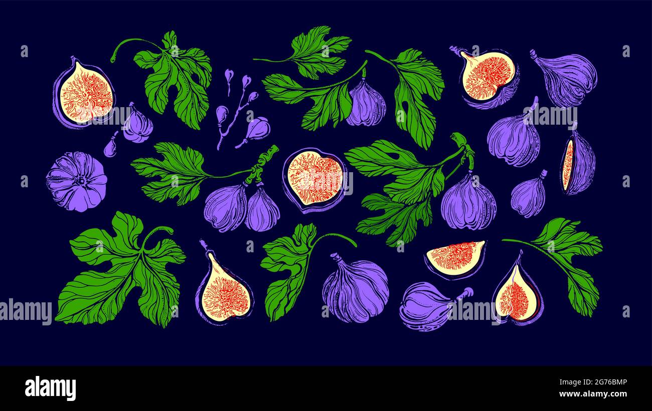 Figs juicy set. Vector color fruit, texture green leaf, bright pulp ...