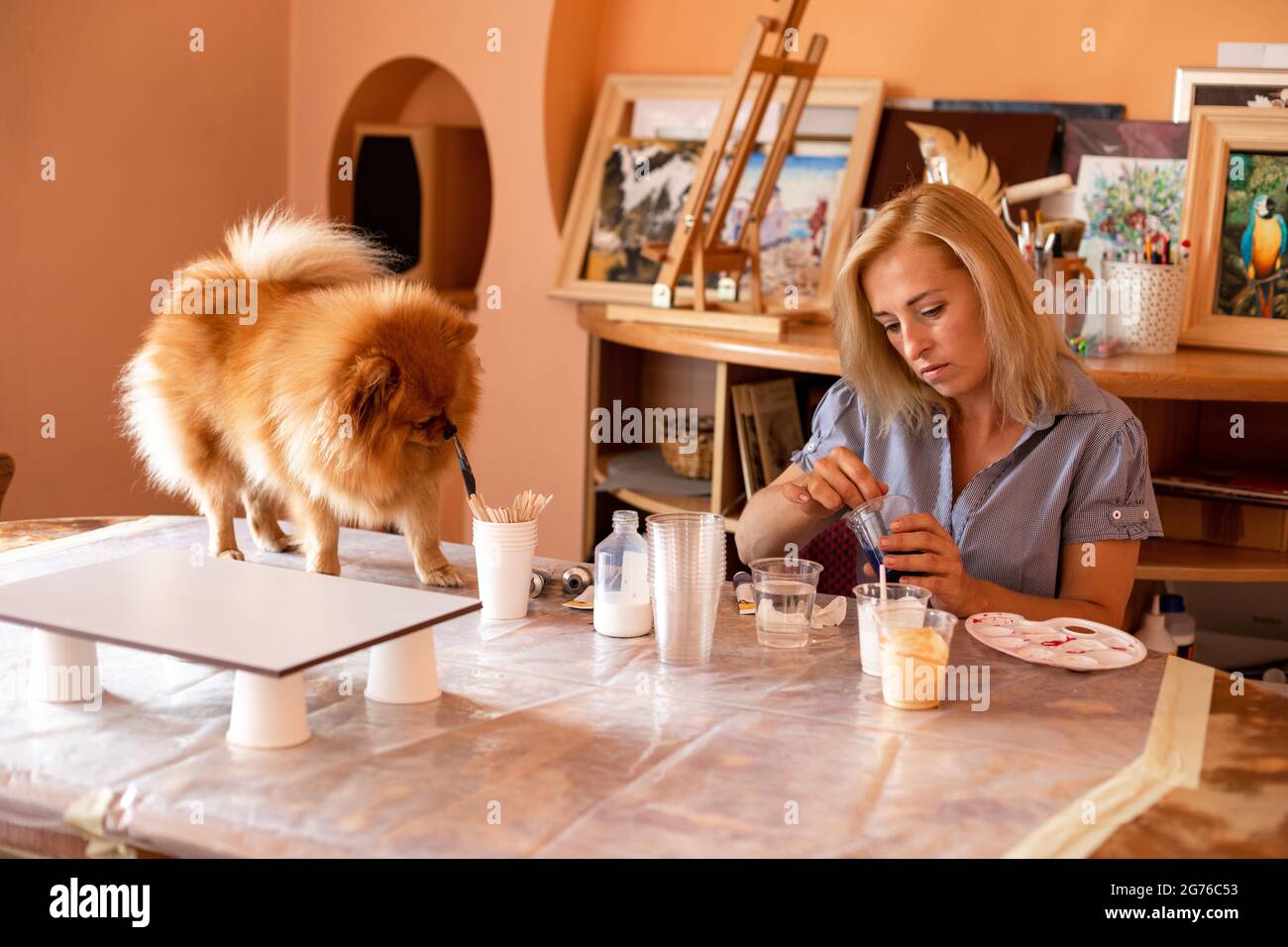 workshop dog furniture