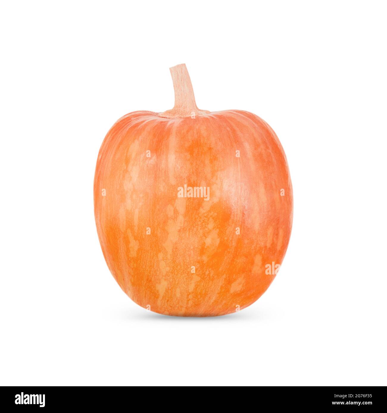 Orange pumpkin isolated on white background with shadow Stock Photo - Alamy