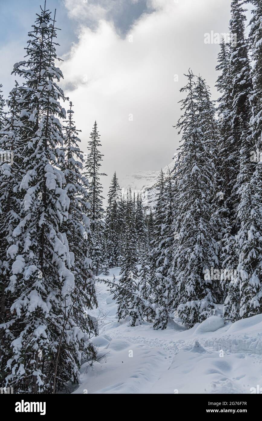 Lake Louise in Banff Park in winter time, Alberta, Canada Stock Photo ...