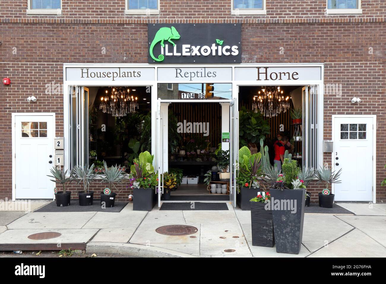 ILLExotics, 1704 E Passyunk Ave, Philadelphia, PA. exterior storefront of a houseplant and reptile shop in the Passyunk Square neighborhood. Stock Photo