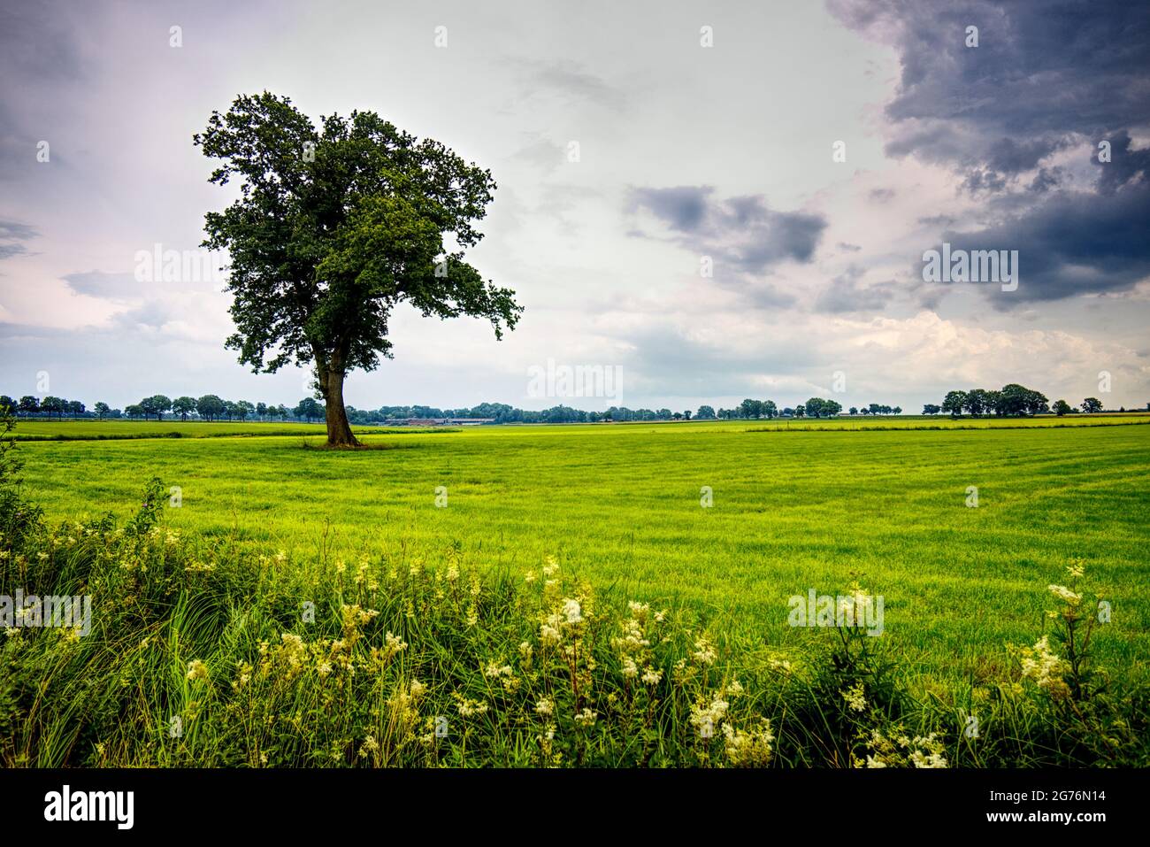beutiful landscape in northern germany Stock Photo