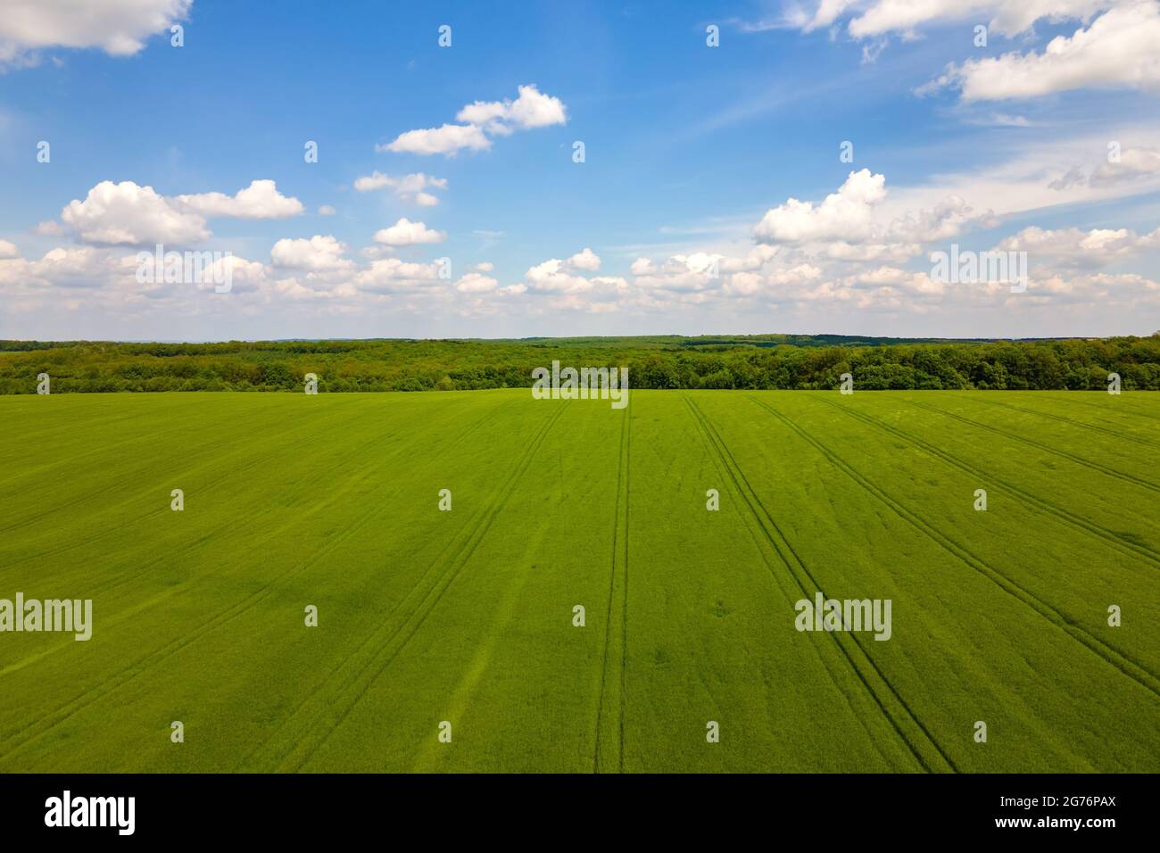 Aerial landscape view of green cultivated agricultural fields with ...