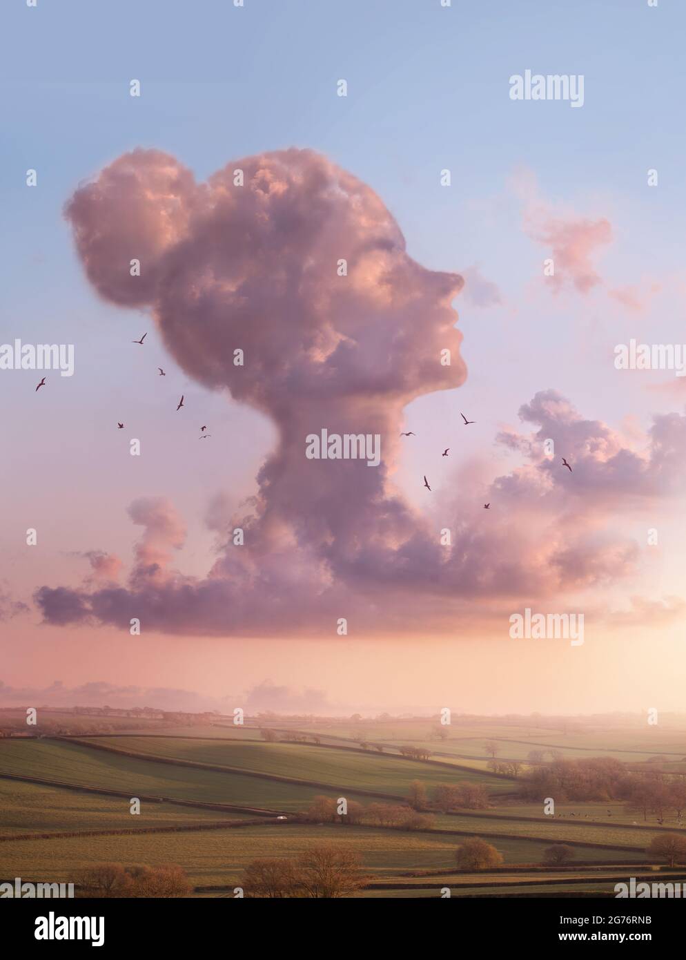 A lady in the clouds -  Womens head shaped cloud on a landscape sunset scenic. thinking and mindful conceptual Illustration. Stock Photo