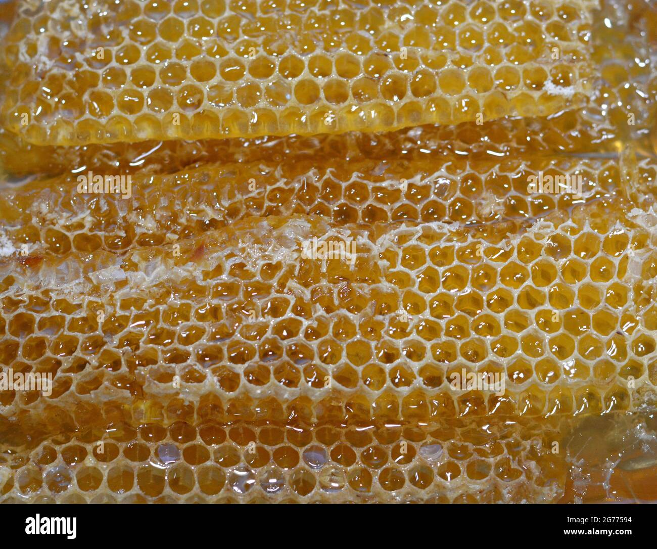 Hexagonal honeycomb cells with honey that hold the queen bee's eggs and store the pollen and honey the worker bees bring to the hive Stock Photo