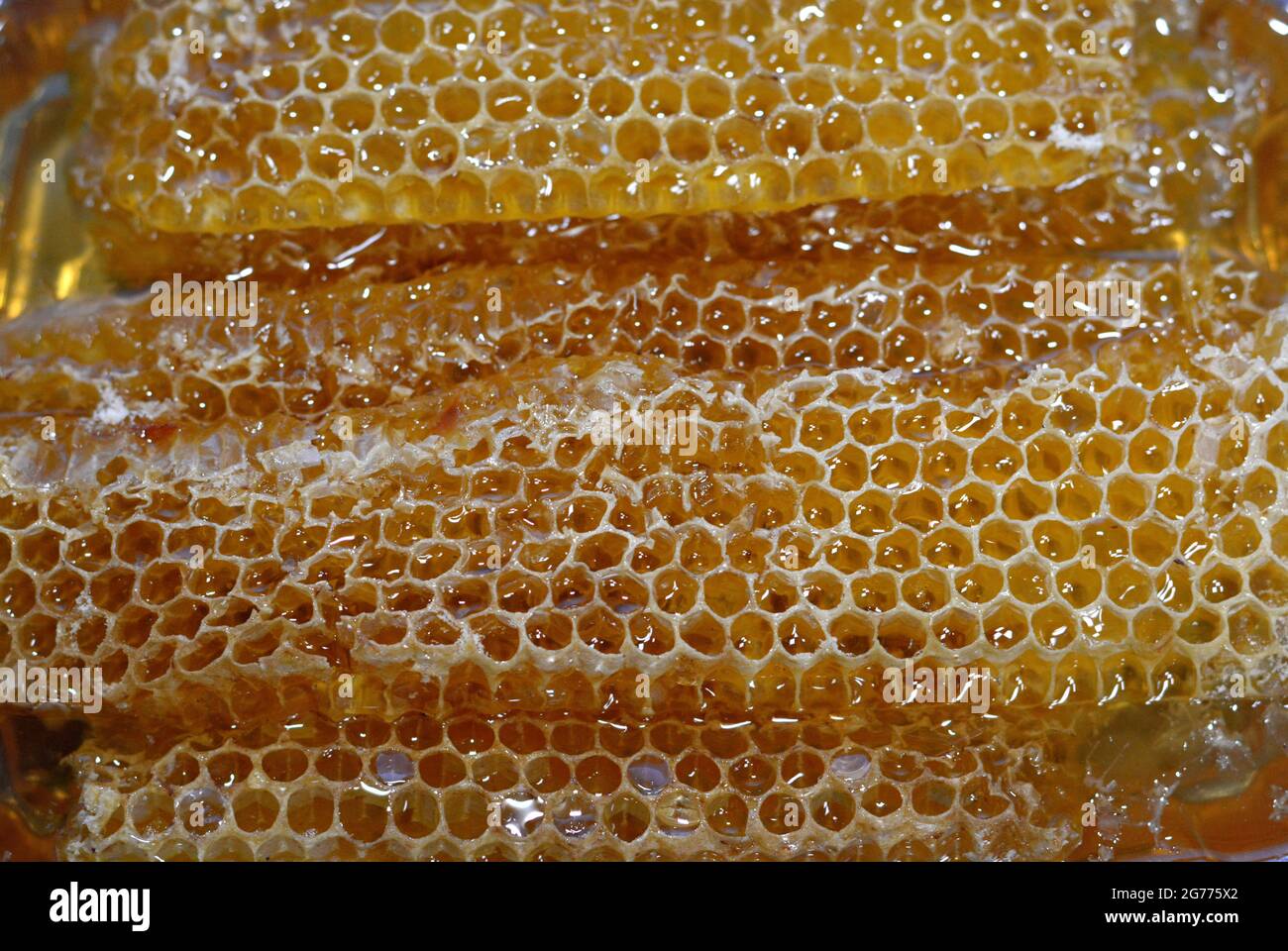 Hexagonal cells with honey that hold the queen bee's eggs and