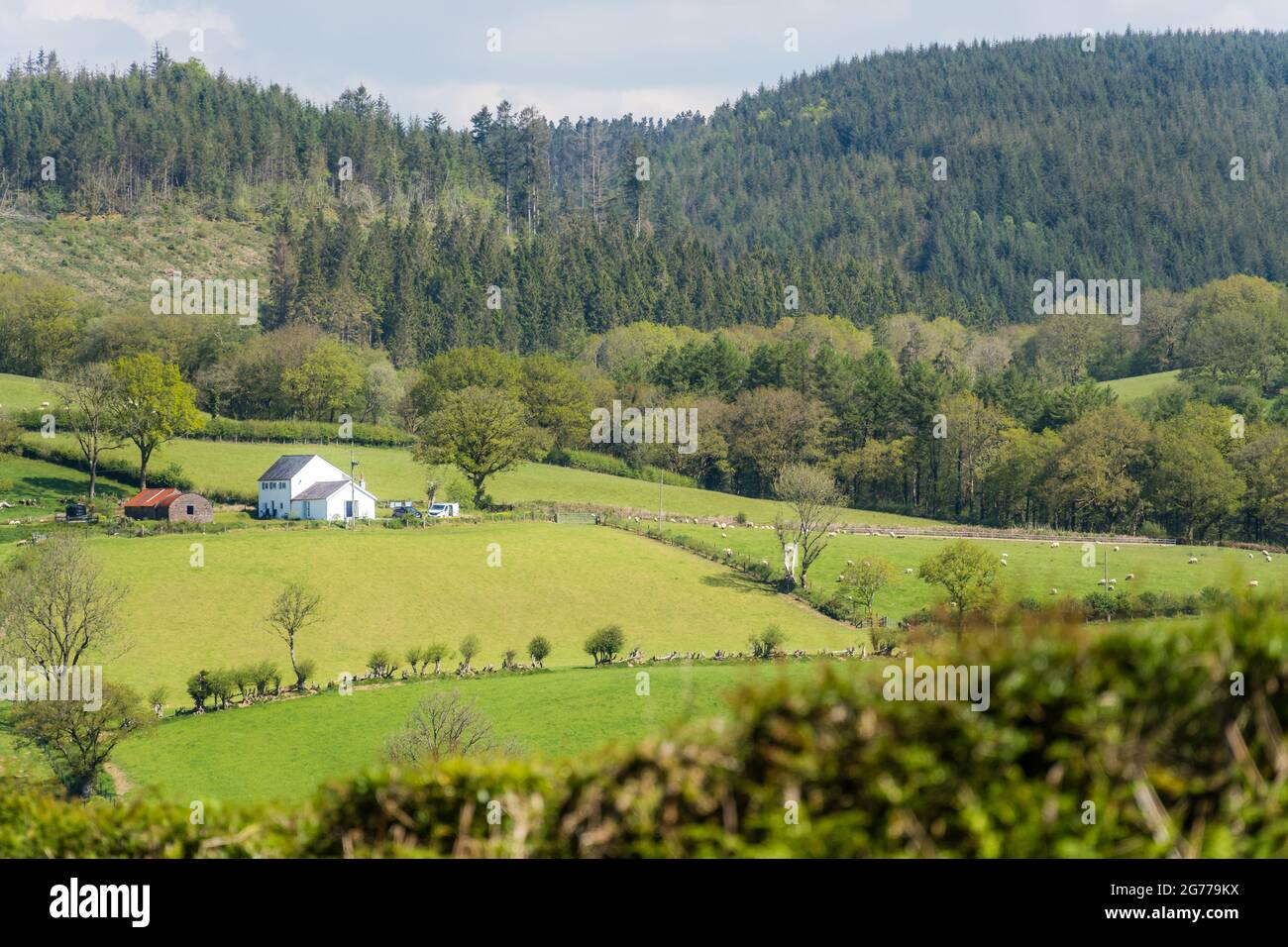 A view of green trees, fields, and a small white house in the middle in ...
