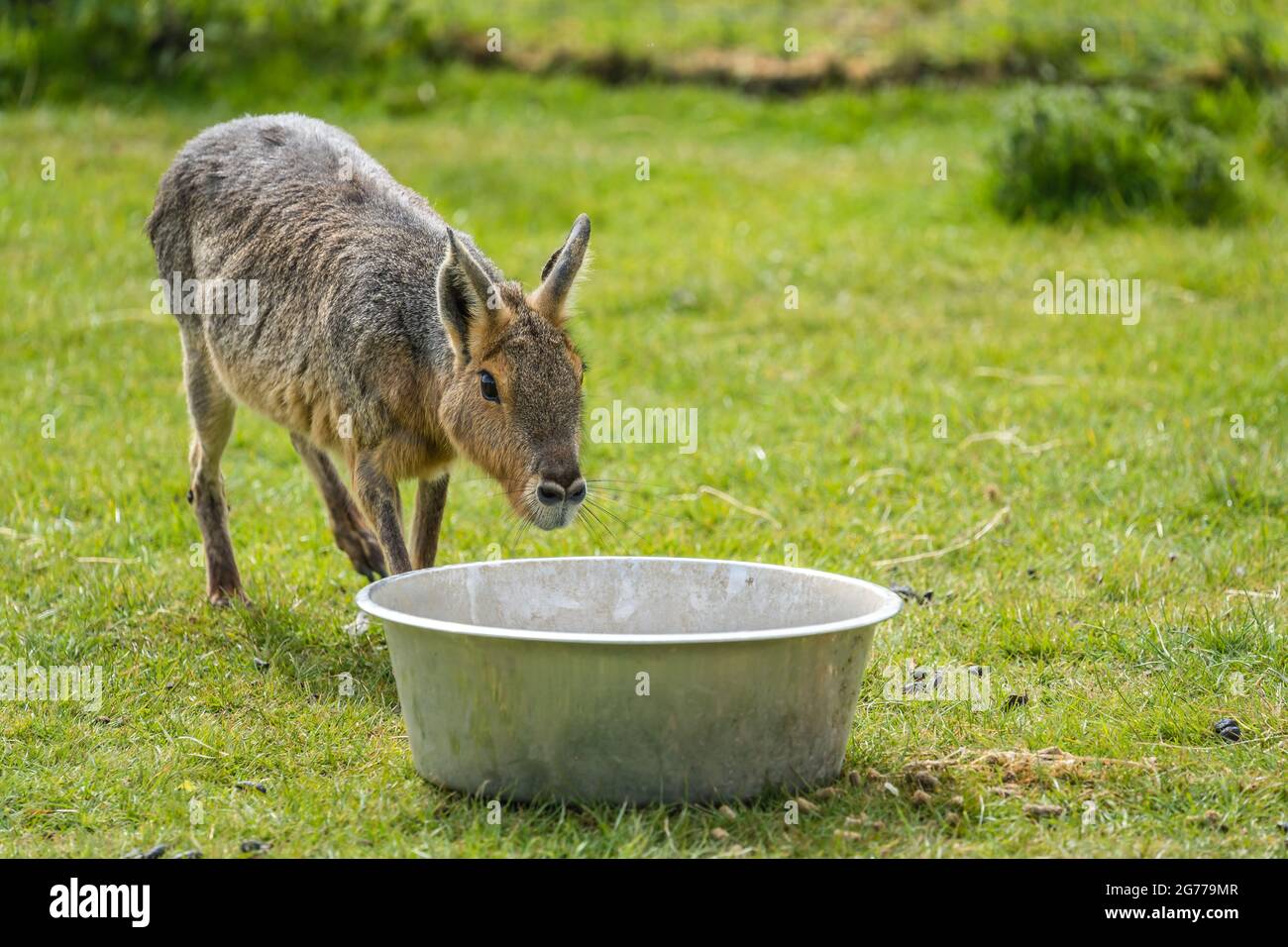 Little basin hi-res stock photography and images - Alamy