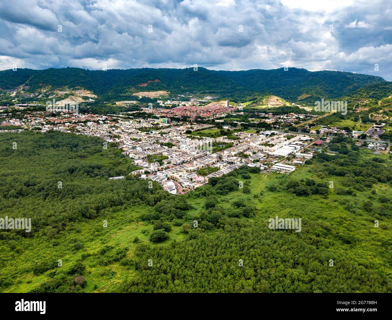 Aerial drone view of heavy density mangrove trees in the gulf of Guayaquil, Ecuador flying and looking toward some gated communities and houses. Stock Photo