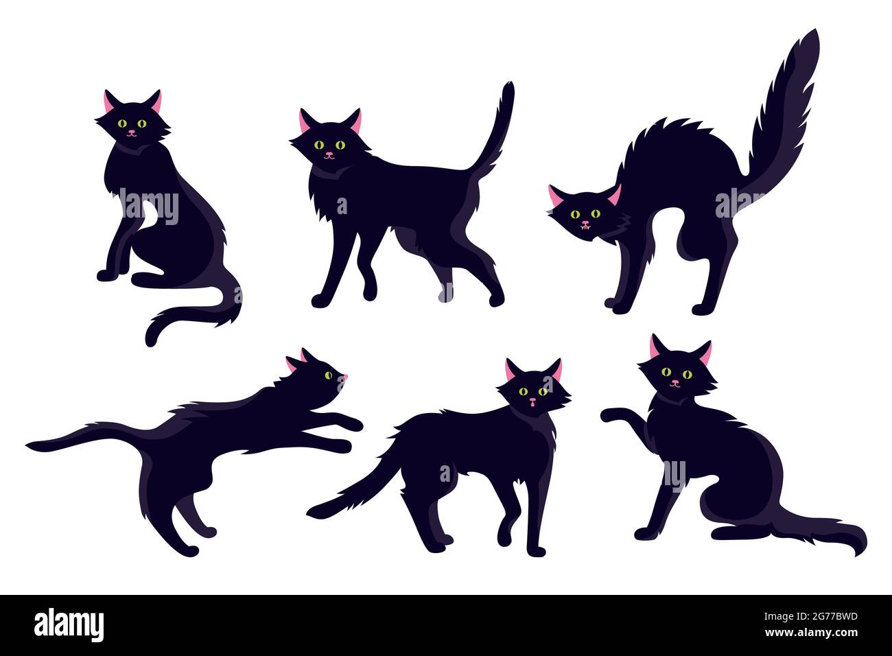 Cute Cats Pets or Kittens Playing or Posing Vector Flat Icons