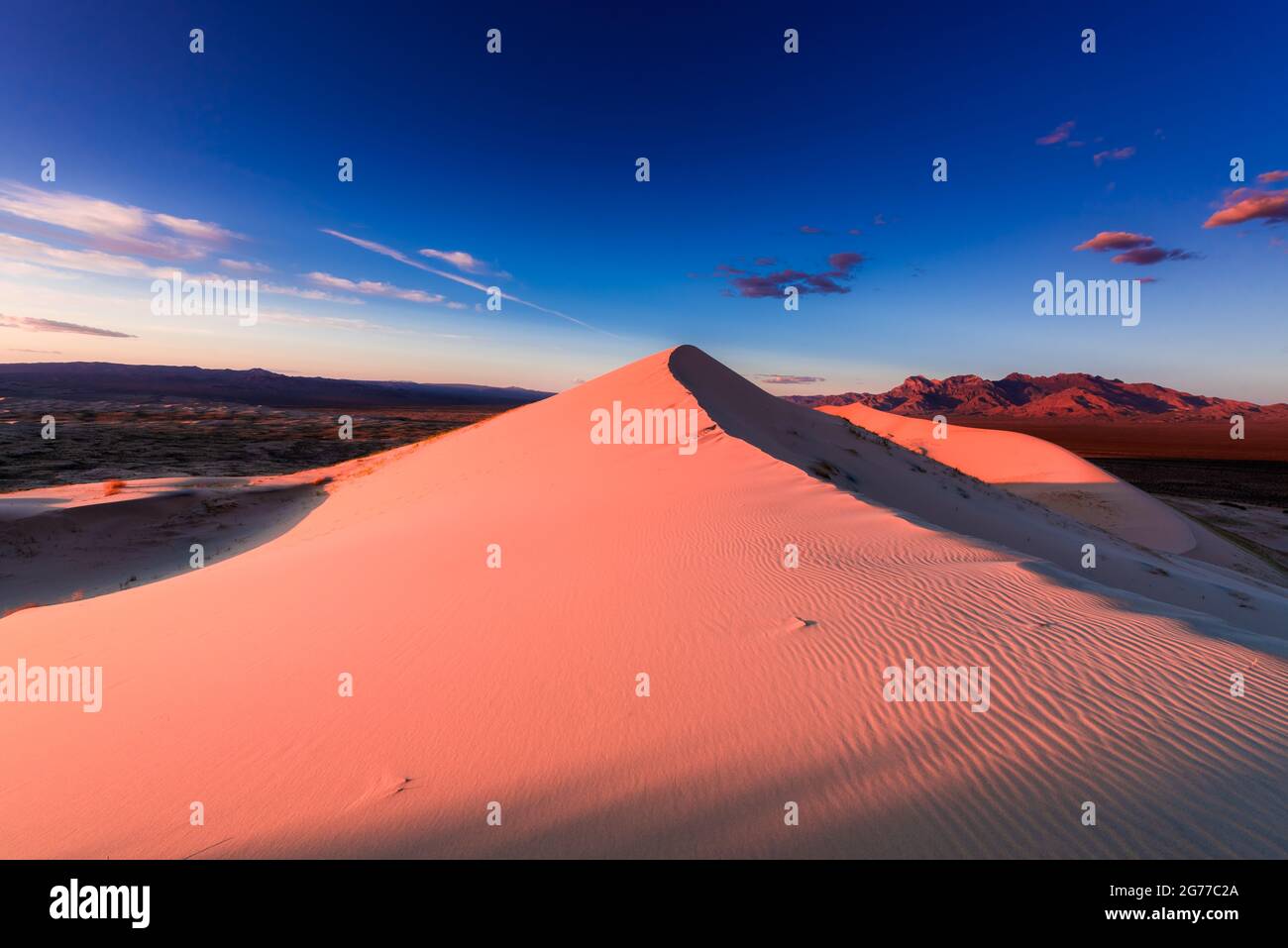 Kelso dune at sunet Stock Photo