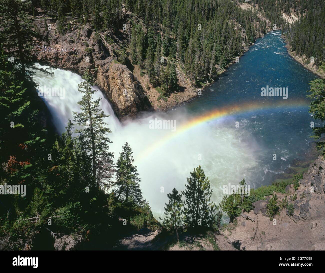 YELLOWSTONE NATIONAL PARK  WY/AUG    A   RAINBOW ARCS OVER THE YELLOWSTONE RIVER  BELOW UPPER YELLOWSTONE FALLS Stock Photo