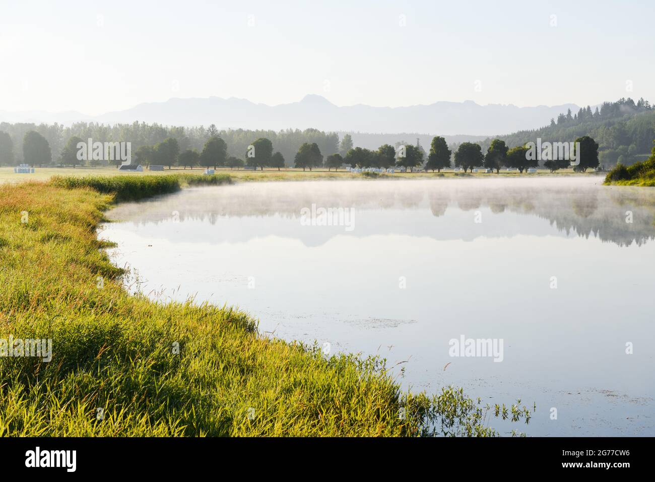 Sikes Lake near Carnation in the Snoqualmie Valley has a light coating of mist on a summer morning as the landscape subtly reflects in the calm water Stock Photo