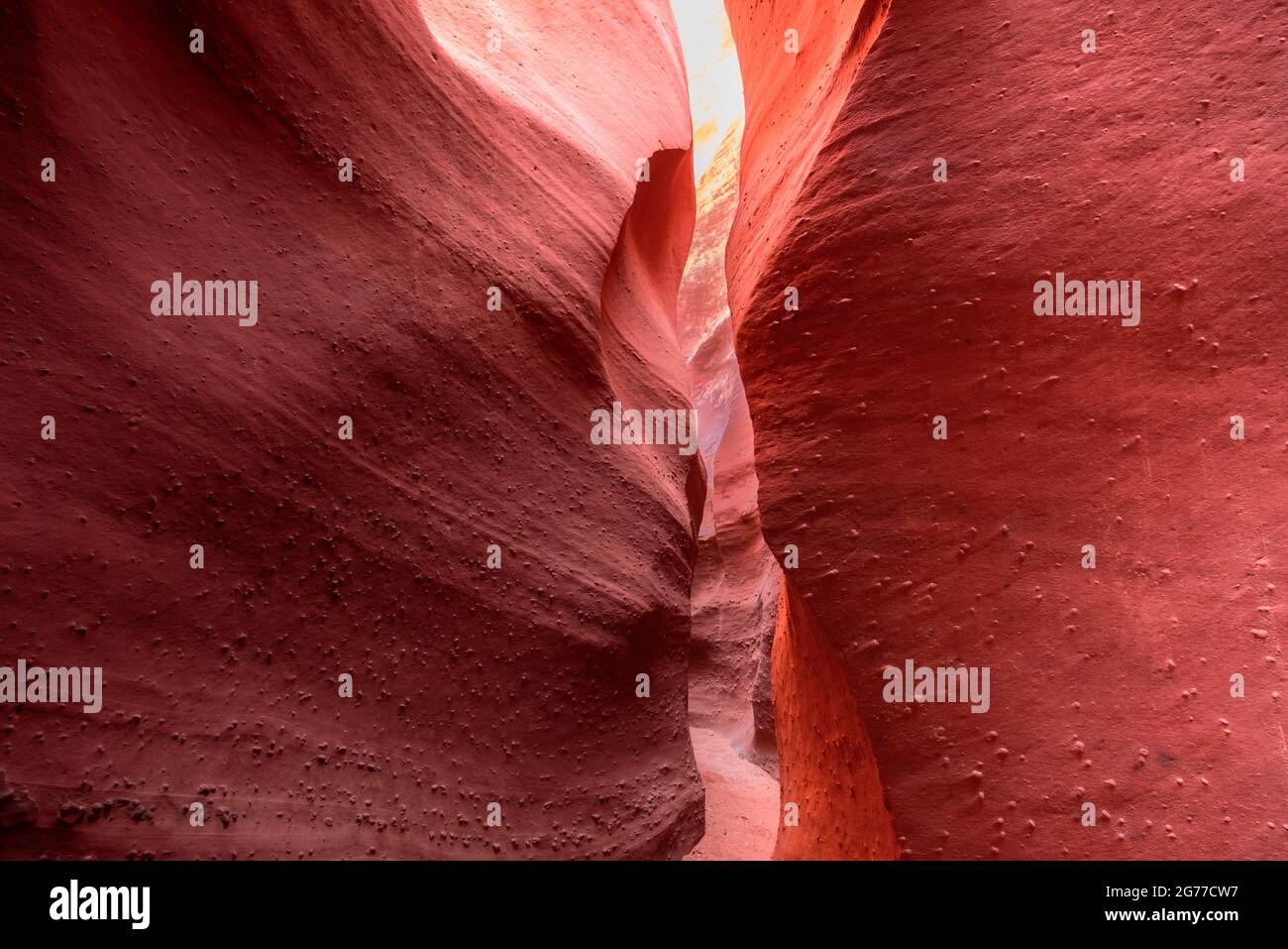 Details on the wall of a slot canyon Stock Photo