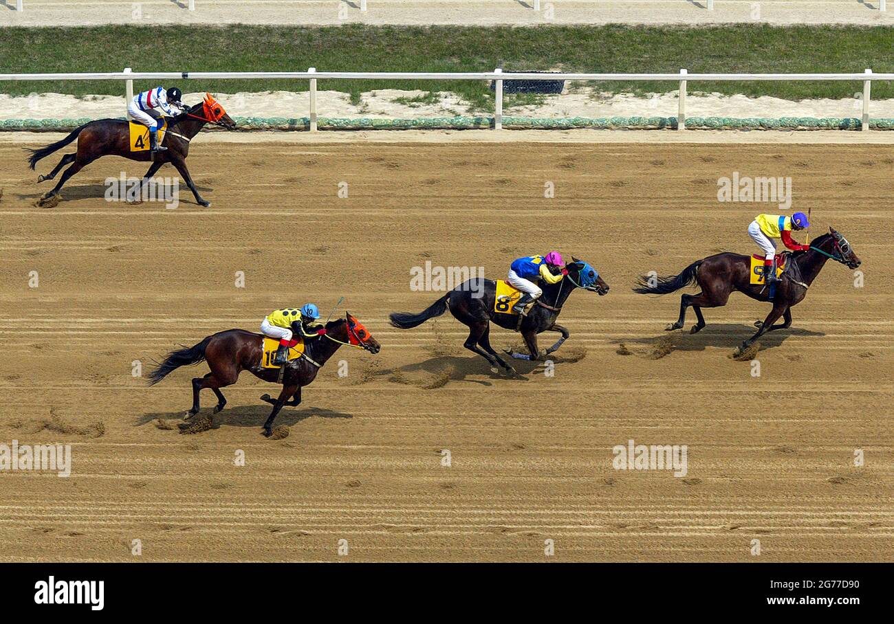 July 12, 2021Gwacheon, South KoreaJockey and horse run on the track during an Let's Run Park