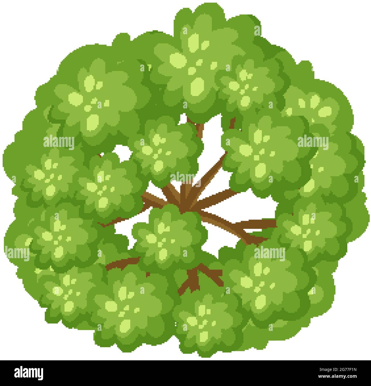 Trees Illustration Top View