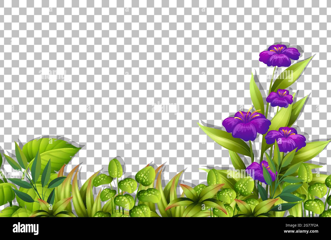 Various tropical leaves on transparent background illustration Stock ...