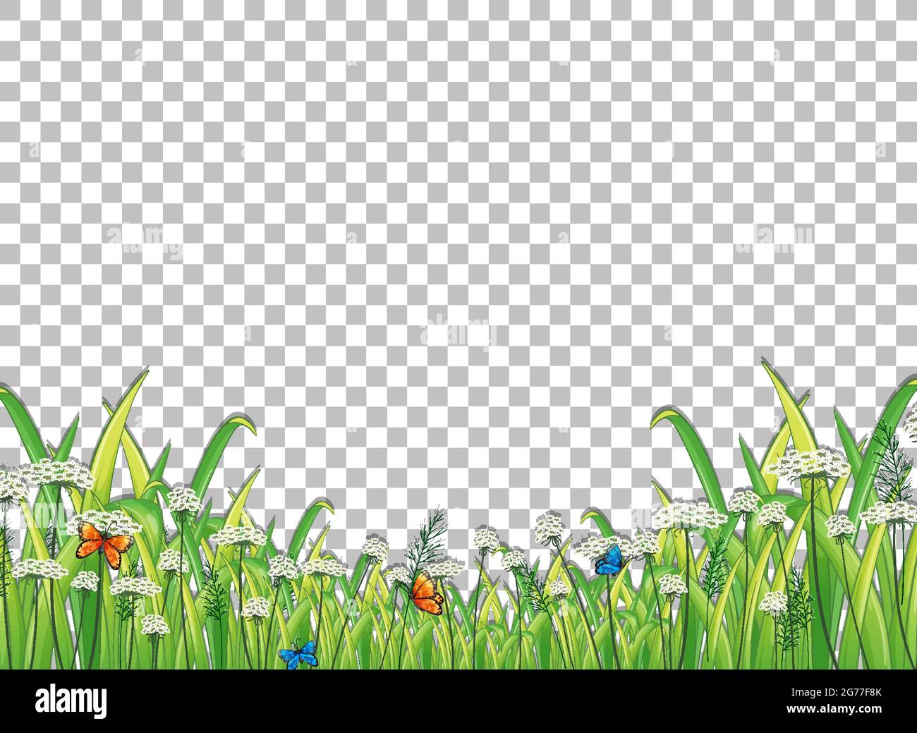 Green grass with butterflies on transparent background illustration