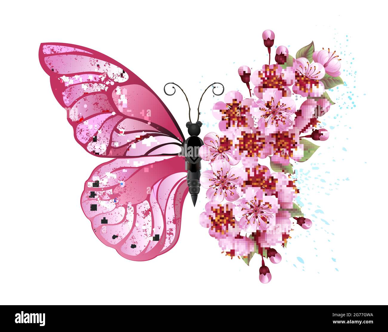 Flower arrangement of pink butterfly with pink Japanese cherry blossoms