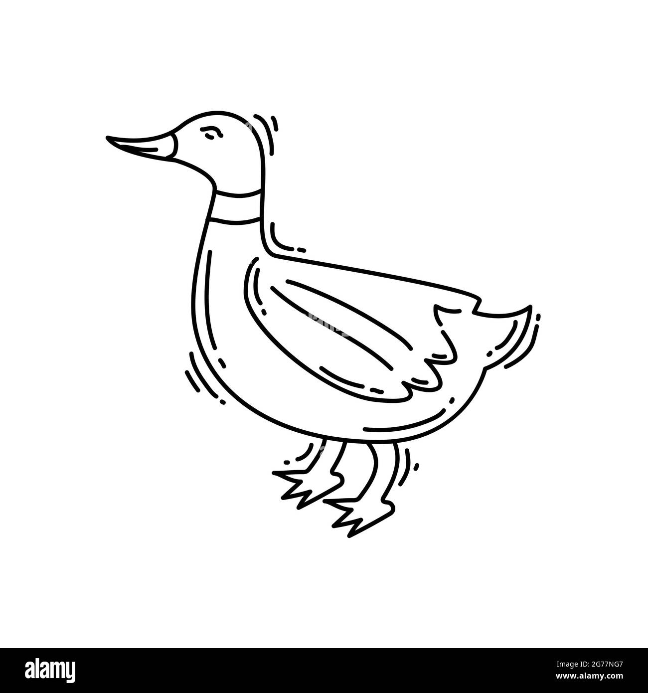 Farming duck icon. hand drawn icon set, outline black, doodle icon