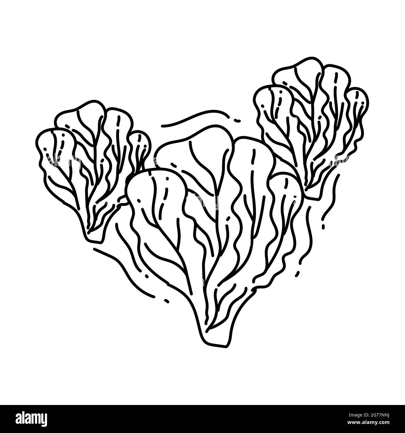 Lettuce icon Stock Vector Images - Alamy