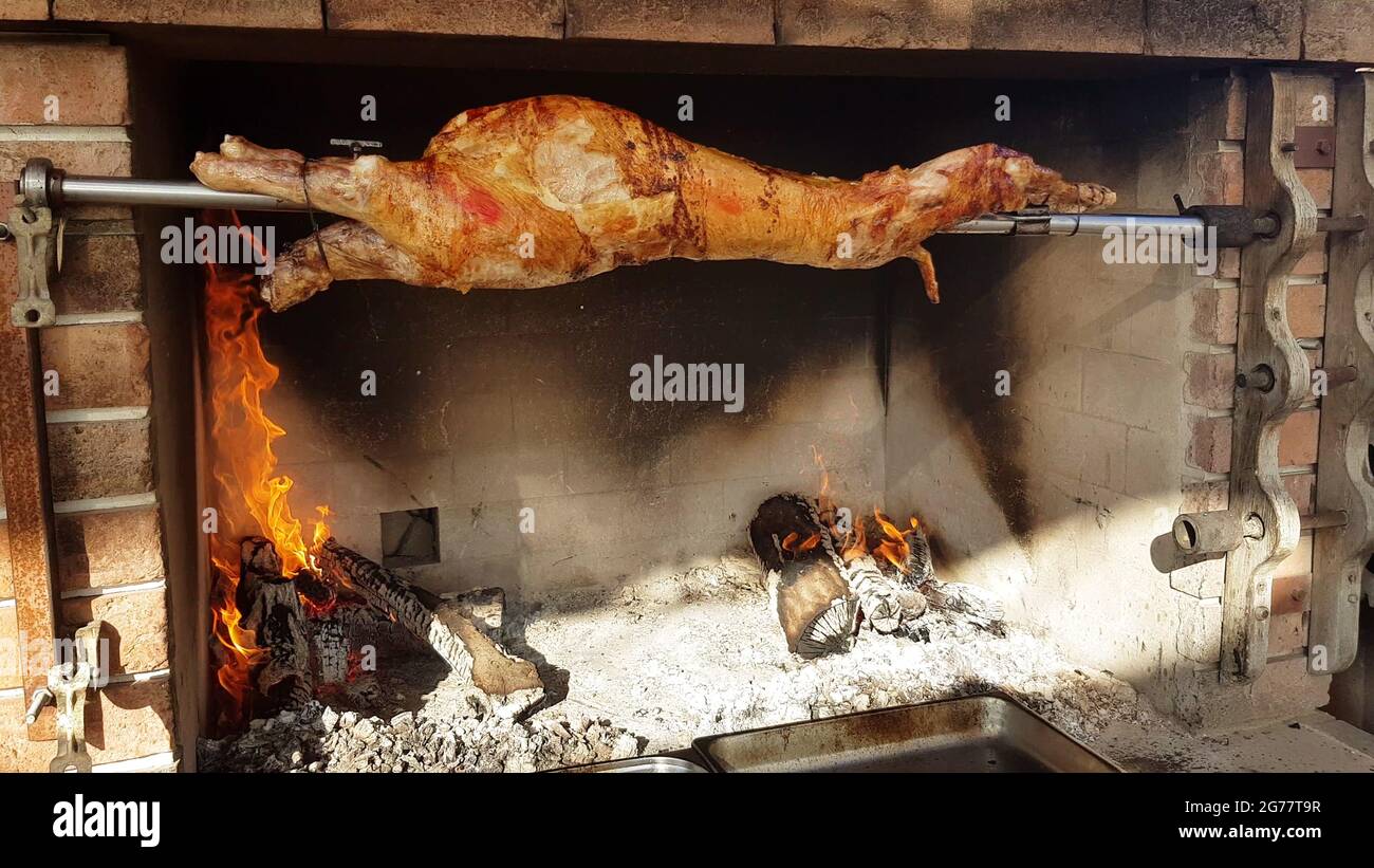 Spit Roasted Lambs, traditional way of roasting lambs on a rotisserie spit in Bulgaria. Cooking
