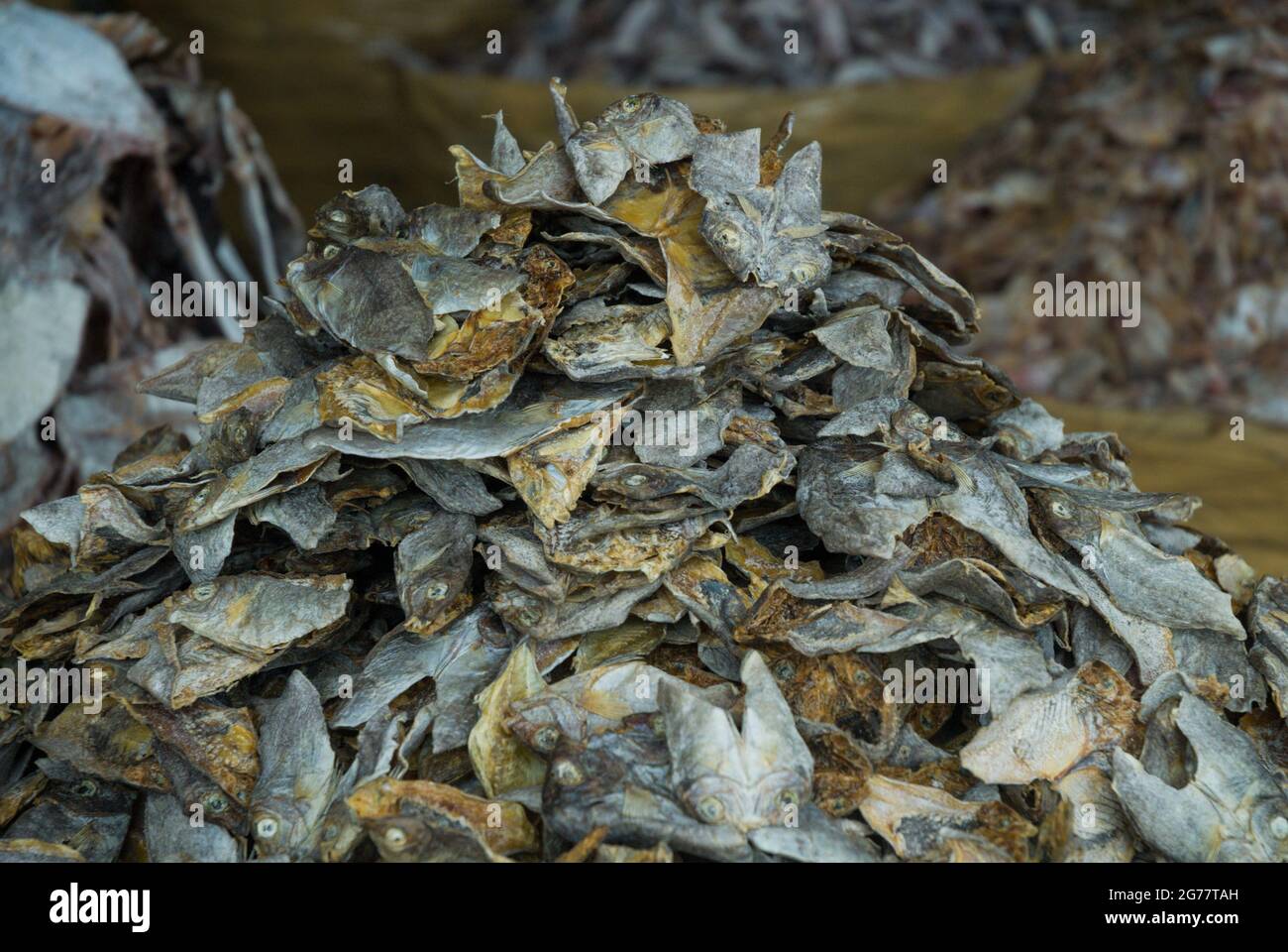 Dried fish for sale in the market Stock Photo Alamy