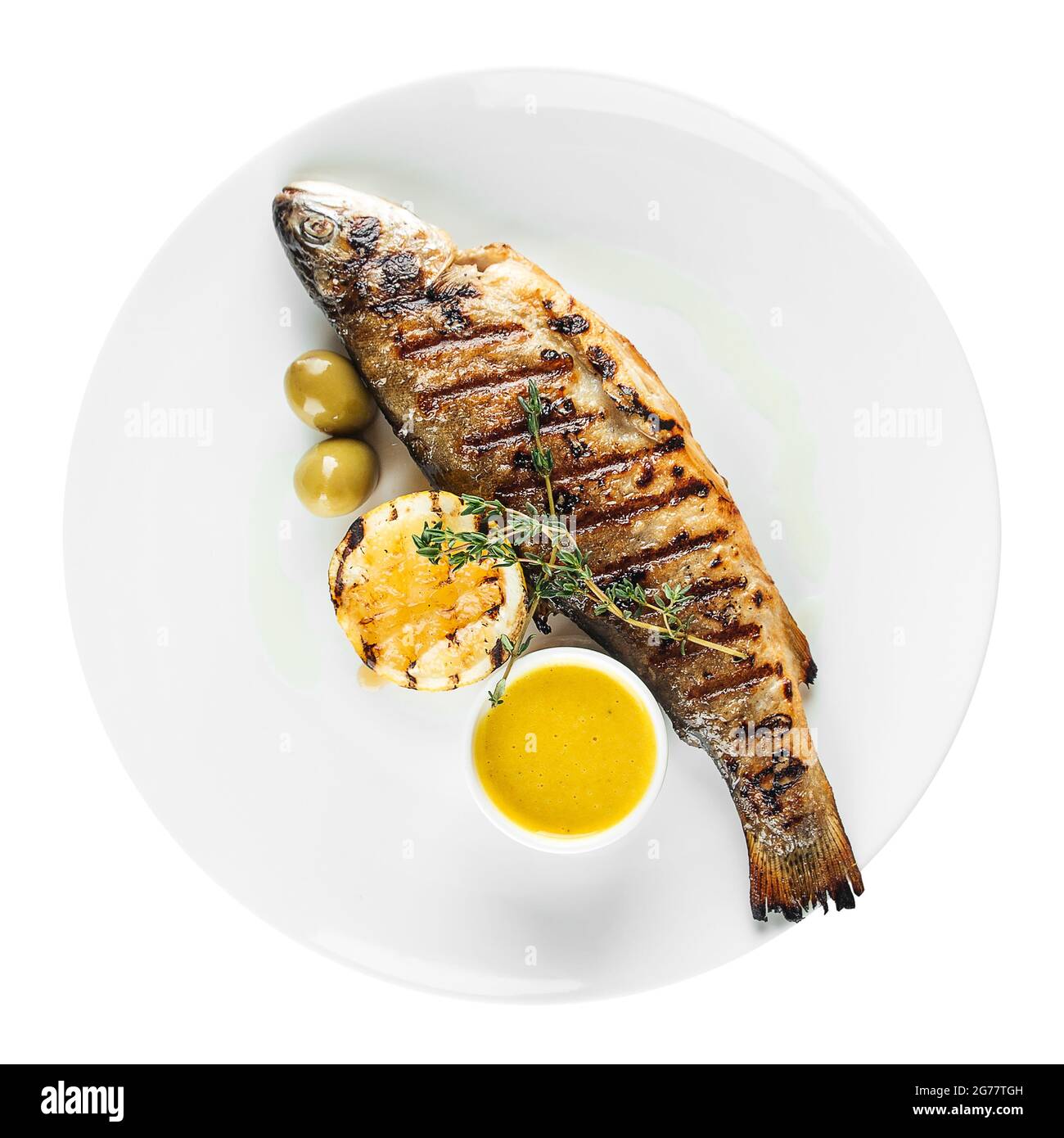 Isolated gourmet grilled sea bass dorada fish Stock Photo