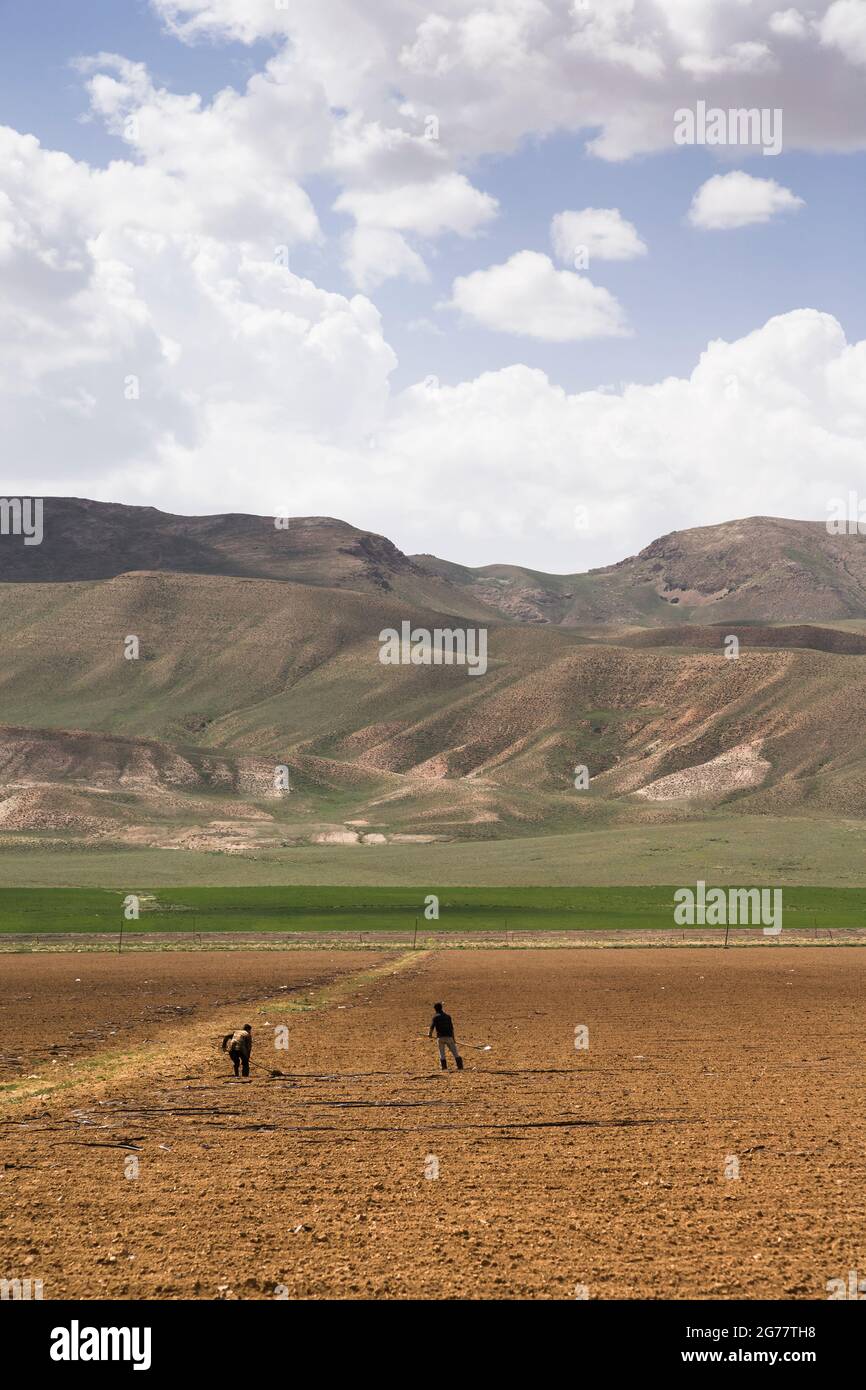 Landscape of Alborz moutains and fields, national road 79, to Sari from Tehran, suburb of Tehran, Tehran province, Iran, Persia, Western Asia, Asia Stock Photo