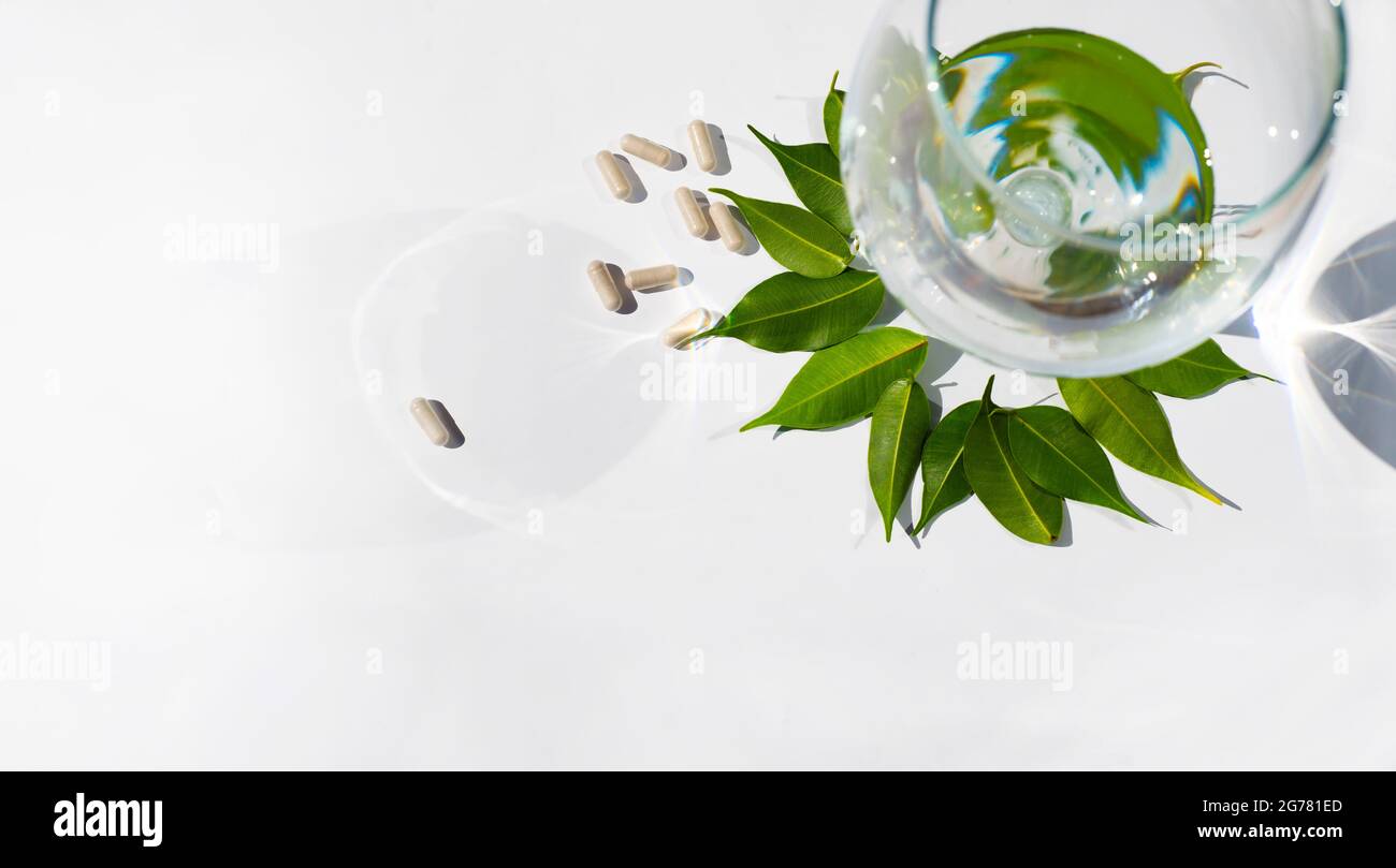 Wine glass with water. Capsules. Pills. Rosette of green leaves around the glass. Alternative medicine topics. Copy space for text. White background. Stock Photo
