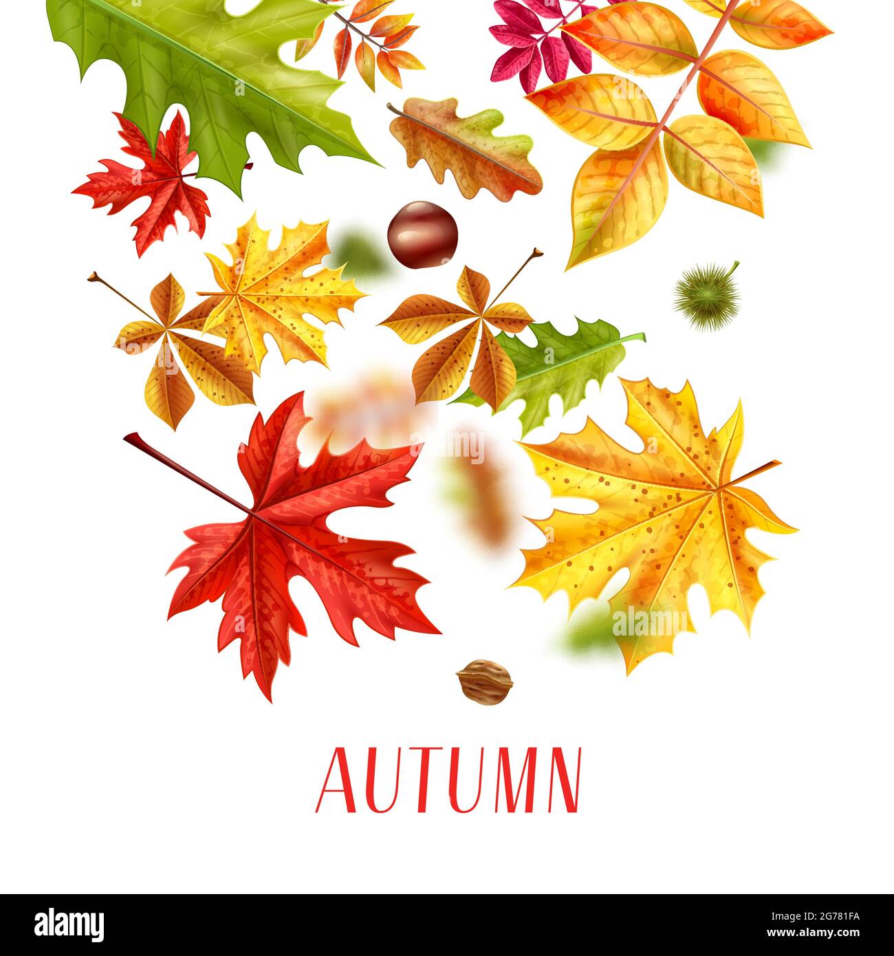 Realistic autumn leaves fall sale background composition of text and autumnal foliage fallen ...