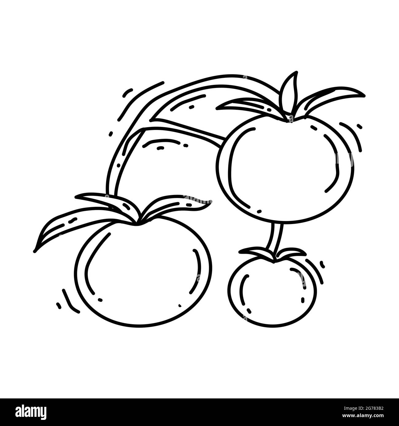 Gardening tomato icon. hand drawn icon, outline black, doodle icon ...