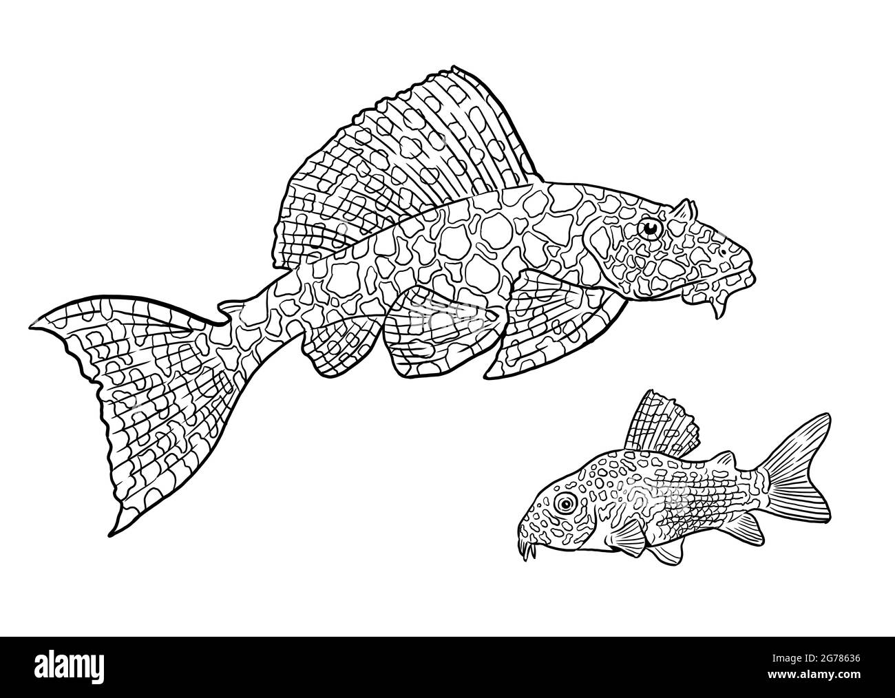 Aquarium with  ancistrus and catfish for coloring. Colorful fish templates. Coloring book for children and adults. Stock Photo