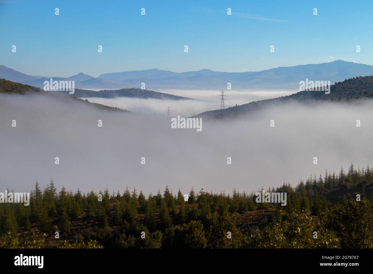 Mountain horizon treetop fog hi-res stock photography and images - Alamy