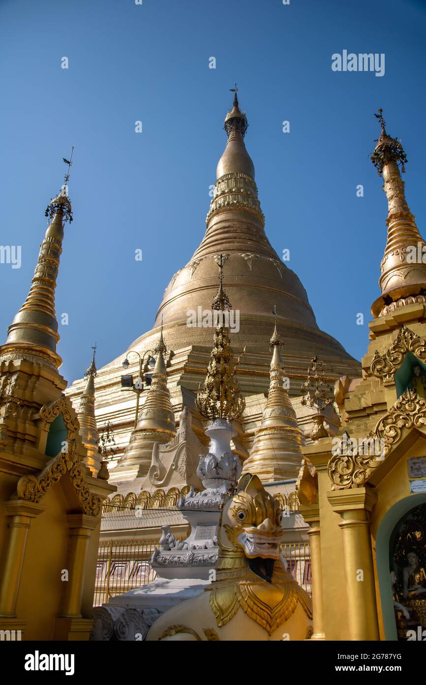 Shwedagon Pagoda or Great Dagon Pagoda. Golden stupa, gilded shrines, chinthe figure and clear  blue sky background Stock Photo
