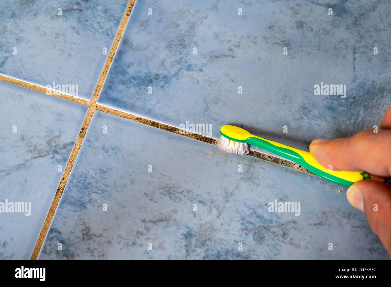Removing mold from a grout in the bathroom with a toothbrush Stock
