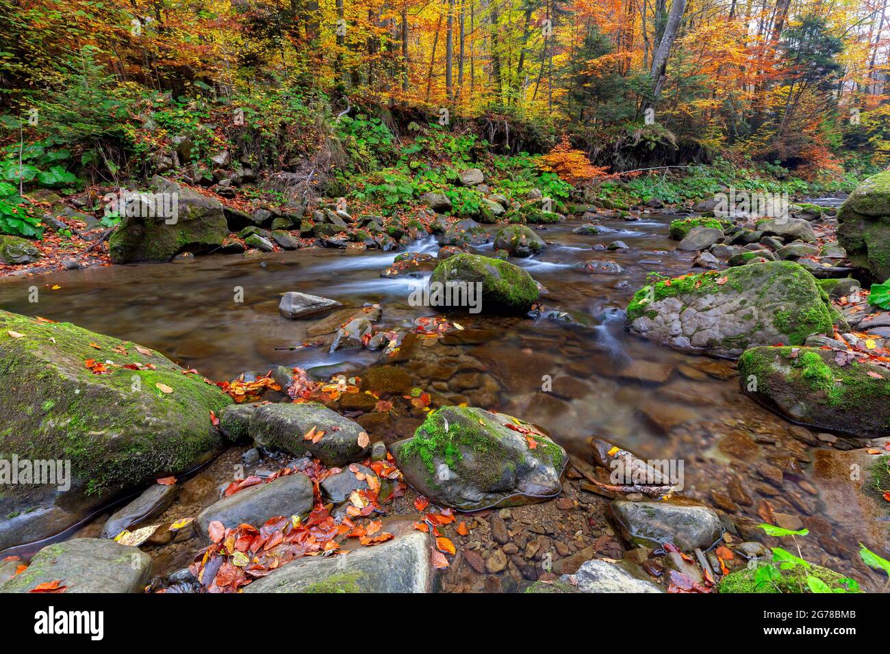 Beautiful autumn landscape in the Carpathian mountains. Skole. Ukraine. Stock Photo
