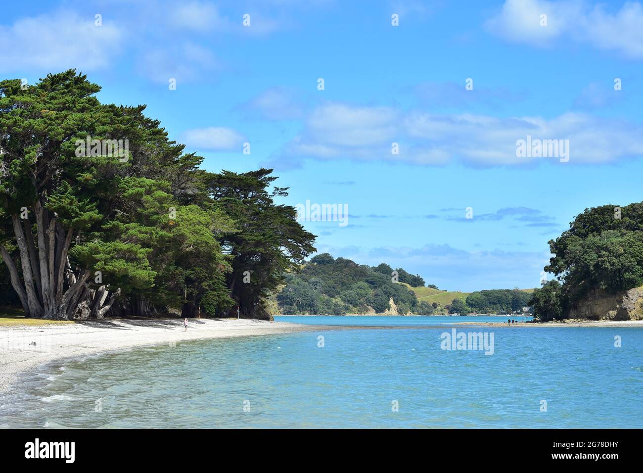 Shallow picturesque bay with warm water and shell beach at Scotts landing in Mahurangi Harbour. Stock Photo