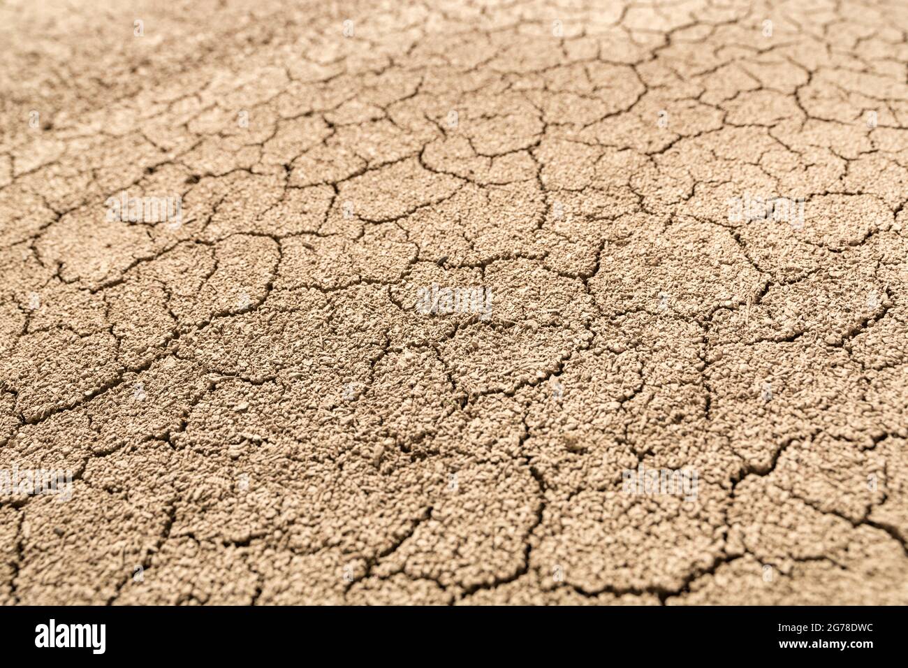 Close shot soil drying out & cracking. For drought, parched earth, crop