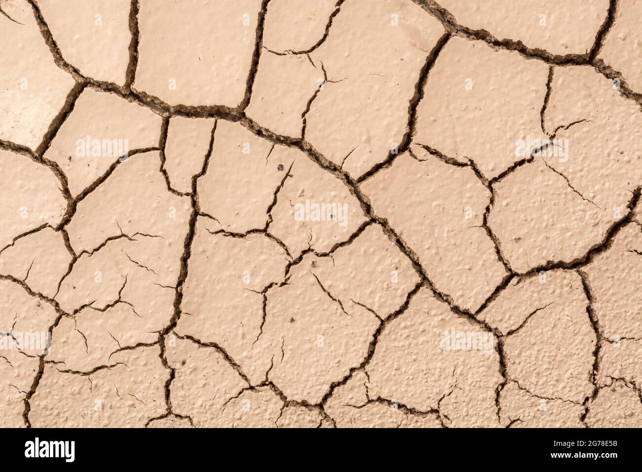 Close shot soil drying out & cracking. For drought, parched earth, crop