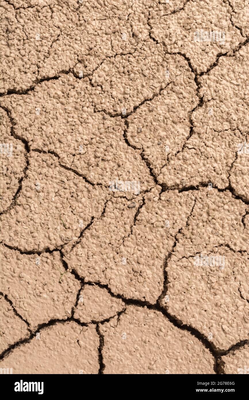 Close shot soil drying out & cracking. For drought, parched earth, crop