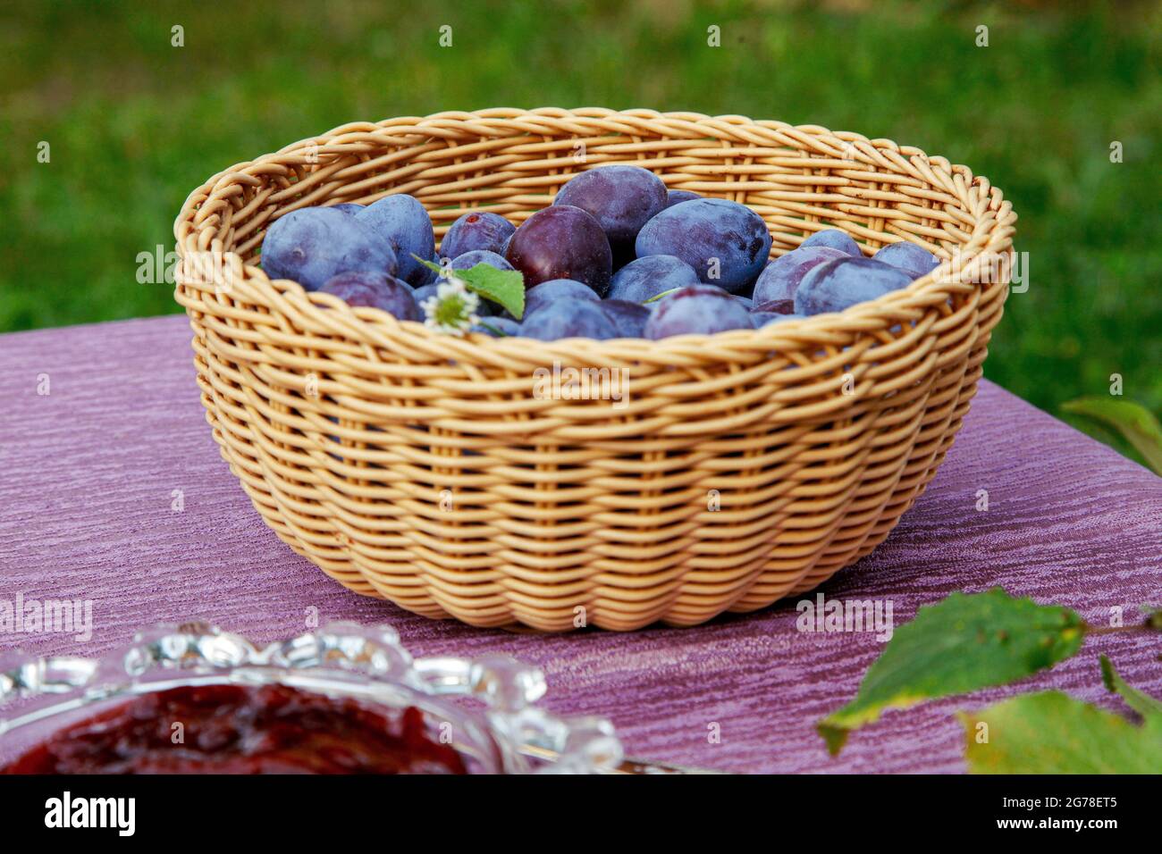 セール！ Basket of Plums Songbook プラムヴィレッジ hucklberry