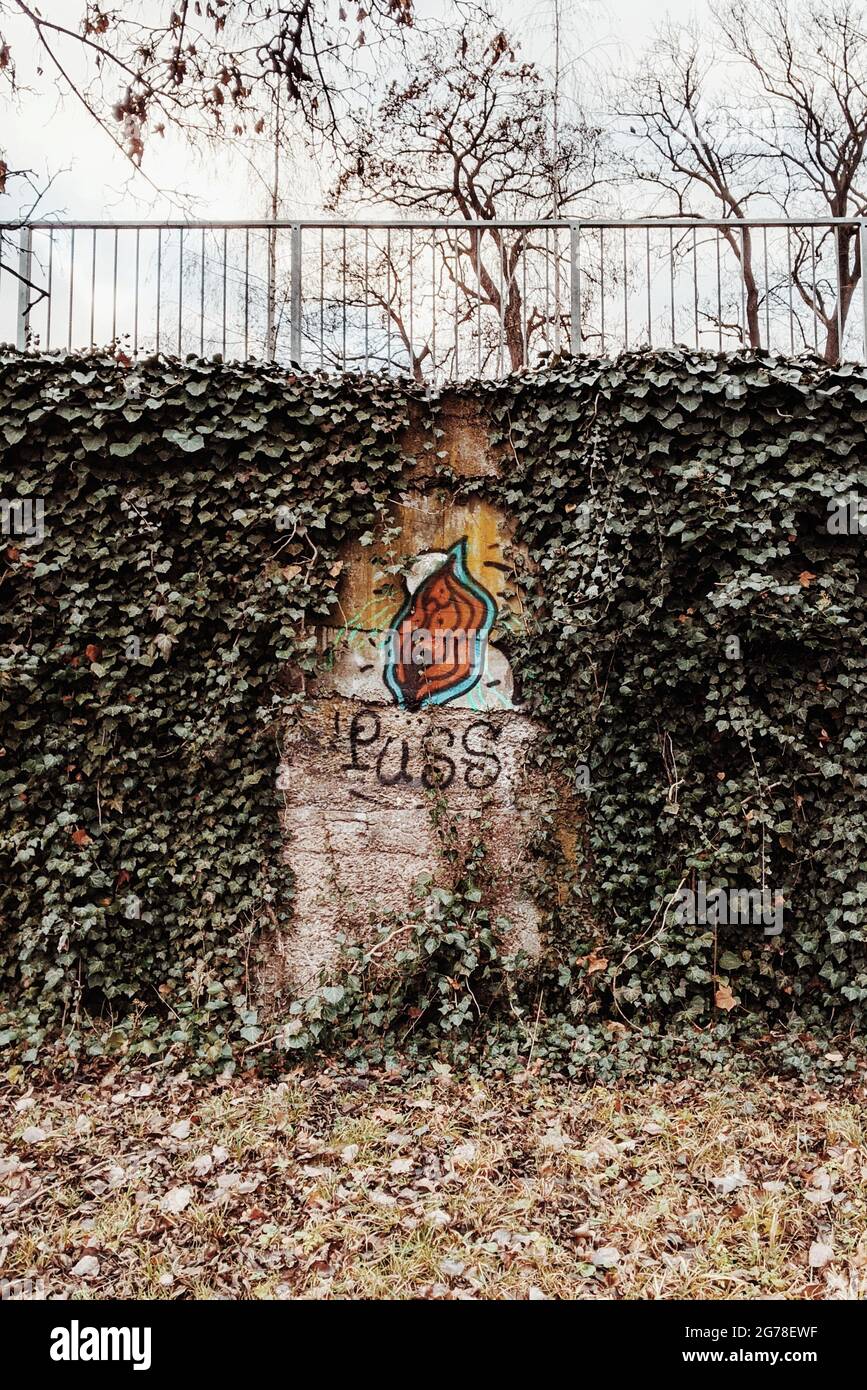 Vulva graffiti on an ivy-covered wall Stock Photo