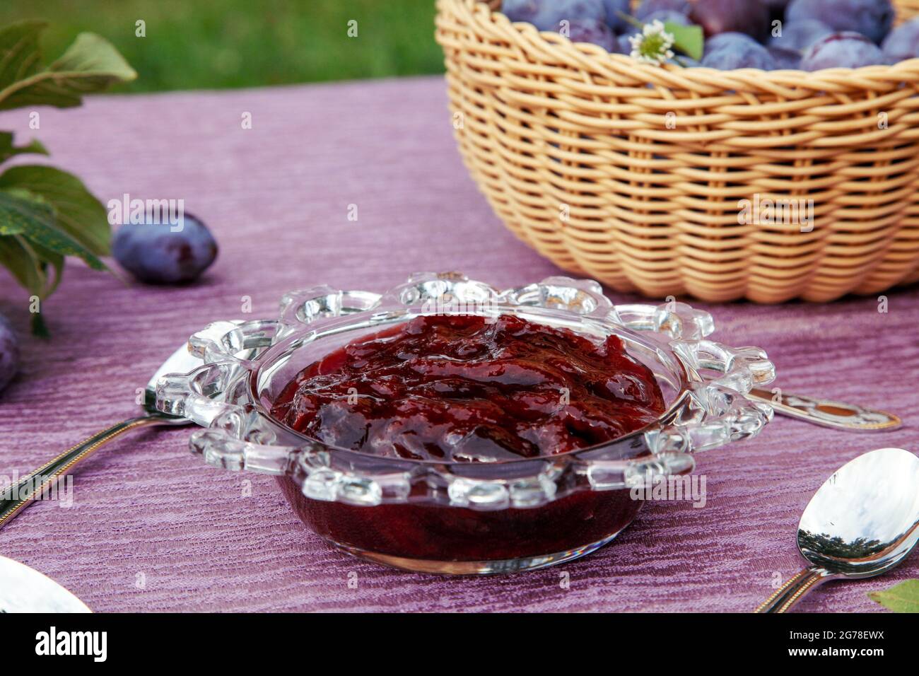 Plum jam, plums, organic garden, Stock Photo