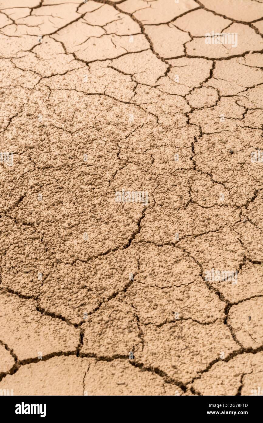 Close shot soil drying out & cracking. For drought, parched earth, crop