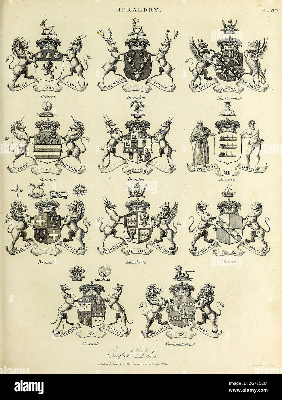 Coat of arms shield hi-res stock photography and images - Alamy